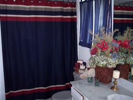 Tue Aug 16 13:44:18 2005

Andrew's bathroom - tub and toilet