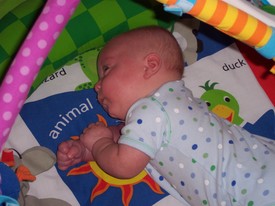 Mon Aug 29 14:26:18 2005

Andrew is now able to prop up very well, and has rolled over a time or two.  He even 