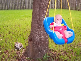 Mon Sep 26 18:38:11 2005

Patches likes to be close by when I swing.