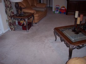 Sat May 27 19:49:25 2006

After the fat lip, dad finally put his foot down about the rugs that Andrew kept tripping over.