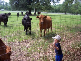 Mon 02 Jul 2007 02:30:59 PM