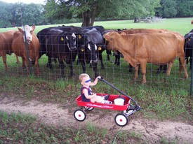 Tue 03 Jul 2007 03:01:56 PM