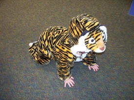 Wed 21 Jan 2009 06:30:49 PM

This picture was taken at O2B Kids in Fleming Island, as were all of the others here from Jan 21 and 22.