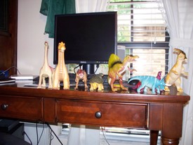 Sat 06 Jun 2009 12:16:56 PM

Andrew posed and then photographed some of his dinosaurs.