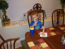 Sun 11 Apr 2010 08:13:01 PM

Andrew got very sick, starting the night of Thursday, April 8th.  On Friday evening he started exhibiting asthma symptoms for the first time.  This is a photo of Andrew taking a nebulizer treatment to relieve asthma symptoms.