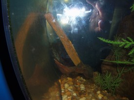 Sat 01 Sep 2012 01:40:02 PM