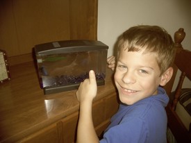 Tue 13 Aug 2013 12:48:11 PM

Andrew's beta fish, Rare.