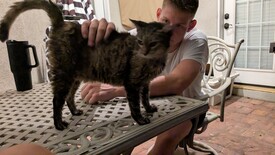 Fri 22 Aug 2025 08:33:54 PM