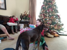 Sun 10 Jan 2021 02:55:45 PM