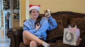 Wed 25 Dec 2024 09:33:13 AM