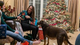 Tue 31 Dec 2024 08:42:27 PM