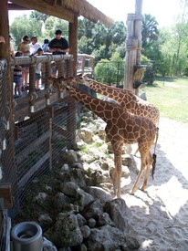 Mon 21 Mar 2011 11:25:17 AM