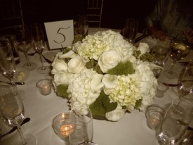 Sun 17 Nov 2013 08:11:17 PM