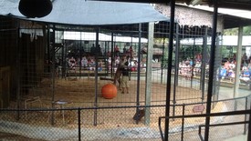 Fri 15 Jul 2016 01:19:40 PM