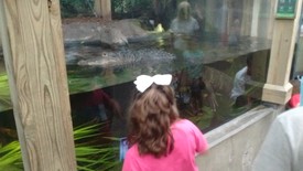 Fri 02 Jun 2017 02:31:05 PM