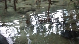 Fri 02 Jun 2017 02:37:47 PM