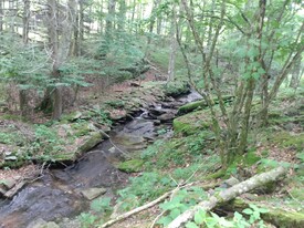 Wed 21 Jul 2021 10:41:51 AM