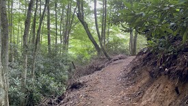 Mon 19 Jul 2021 02:58:21 PM