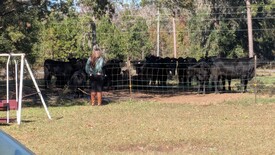 Sun 01 Dec 2024 12:10:39 PM