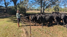 Sun 01 Dec 2024 12:30:55 PM