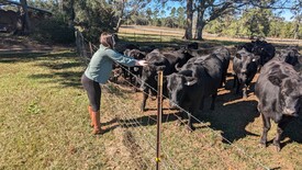 Sun 01 Dec 2024 12:32:32 PM