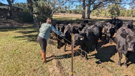 Sun 01 Dec 2024 12:32:35 PM