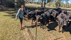 Sun 01 Dec 2024 12:32:44 PM