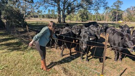 Sun 01 Dec 2024 12:33:06 PM