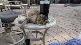 Sun 23 Mar 2025 05:45:17 PM