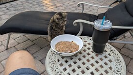 Tue 15 Apr 2025 07:08:13 PM