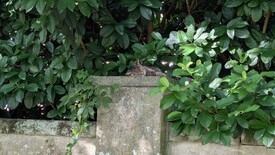 Wed 03 Sep 2025 10:44:32 AM