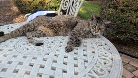 Wed 03 Sep 2025 05:40:49 PM