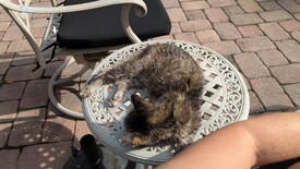 Fri 12 Sep 2025 04:59:26 PM