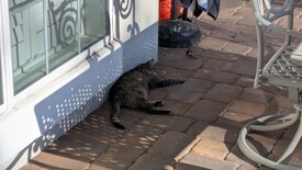 Thu 18 Sep 2025 05:39:03 PM