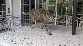 Thu 25 Sep 2025 11:19:05 AM