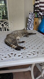 Thu 25 Sep 2025 11:22:06 AM