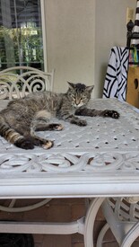 Thu 25 Sep 2025 11:22:32 AM