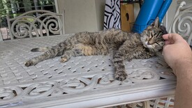 Thu 25 Sep 2025 11:24:56 AM