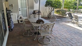 Thu 25 Sep 2025 11:46:38 AM