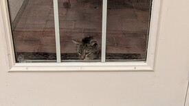 Thu 25 Dec 2025 06:11:46 PM