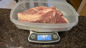 Sun 19 Oct 2025 04:31:49 PM