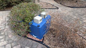 Highlight for Album: 20260131_hard_freeze