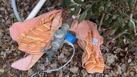 Sat 31 Jan 2026 11:05:55 AM