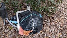 Sat 31 Jan 2026 11:14:16 AM