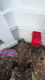 Sat 31 Jan 2026 11:53:12 AM