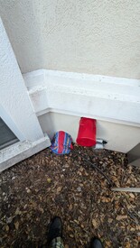 Sat 31 Jan 2026 11:55:00 AM