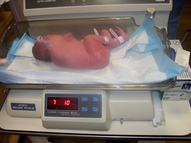 Tue 24 Mar 2009 08:15:23 PM

7 lbs. 1.0 oz.